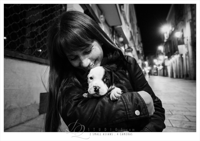 The cutest puppy in Ubeda, Spain - Sony RX100M3 at ISO2500, 1/160 and f1.8